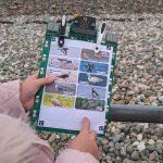A child's hands are shown holding an electronic clipboard device made with a BBC micro:bit which is attached at the top. On the board is a paper showing photos of different birds. The child is wearing a pink coat and there is a rocky beach in the background.