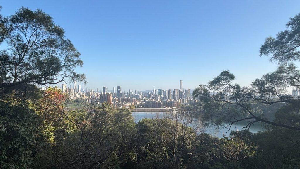 A photo looking out over trees and water at the Shenzhen skyline on a sunny day.